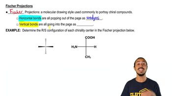 Fischer Projections