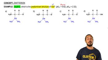 Zwitterion Example 2