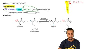 Types of Enzymes