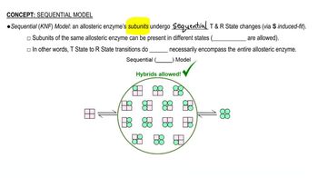 Sequential (KNF) Model