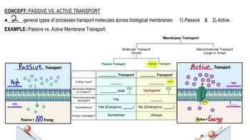 Passive vs. Active Transport