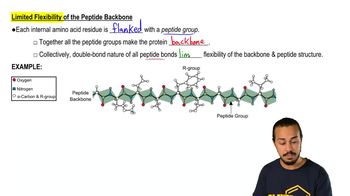 Peptide Group