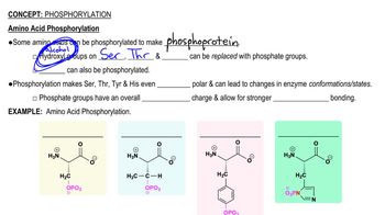 Phosphorylation