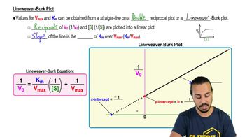 Lineweaver-Burk Plot