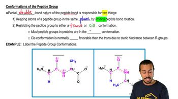 Peptide Group