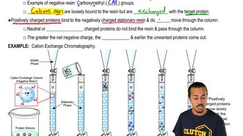 Ion-Exchange Chromatography