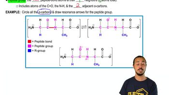 Peptide Group