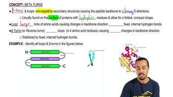 Beta Turns | Channels For Pearson+