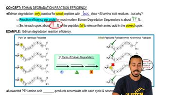 Edman Degradation Reaction Efficiency