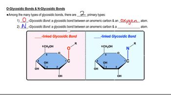 Glycosidic Bond