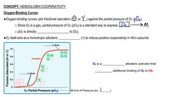 The Binding Of Oxygen To Stabilize The R-state Of Hemoglobin Is B ...