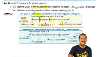 Strategy For Ordering Cleaved Fragments