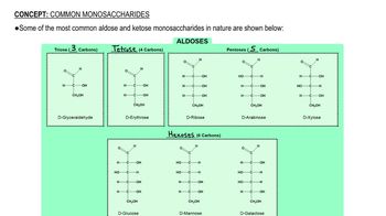 Common Monosaccharides