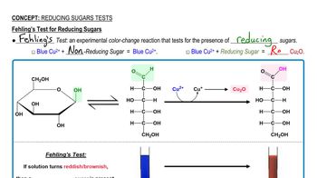 Reducing Sugar Tests