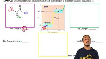 Titrations Of Amino Acids With Non-Ionizable R-Groups