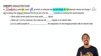 Isoelectric Point of Amino Acids