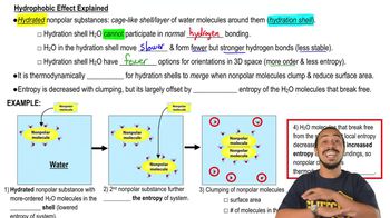 Explanation of the Hydrophobic Effect