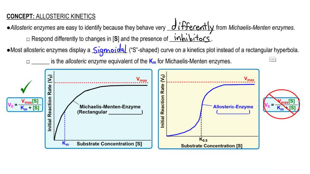 Allosteric Inhibition Metabolic Pathway