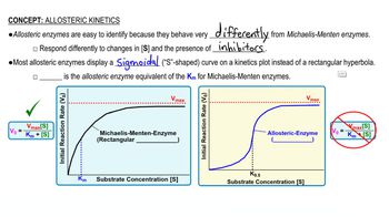 Allosteric Kinetics