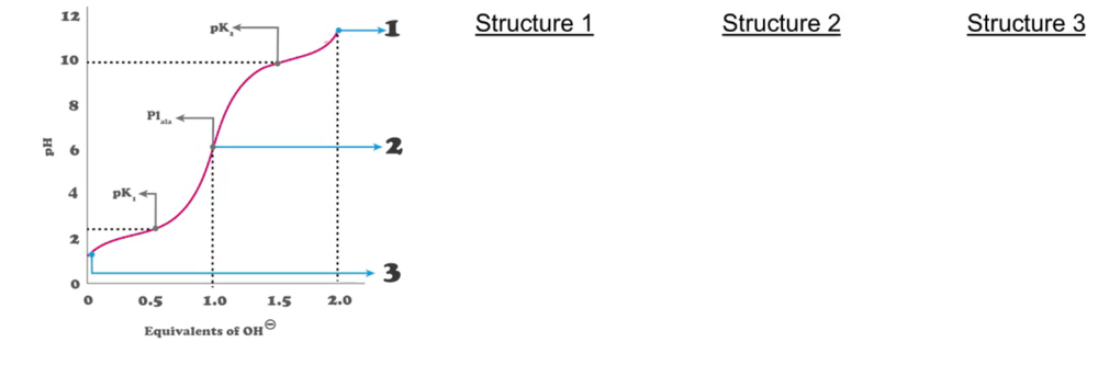 Titration curve of leucine showing pH changes with labeled points 1, 2, 3 for drawing predominant structures.