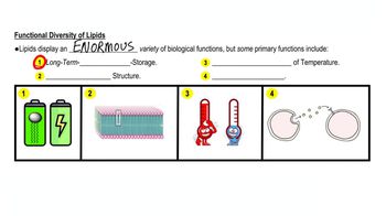 Lipids