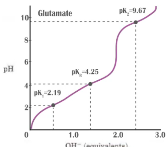 Titration curve of glutamate showing pH changes with OH- equivalents and marked pKa values at 2.19, 4.25, and 9.67.