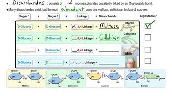 Disaccharides