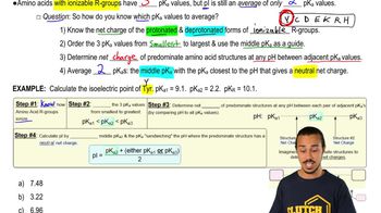 Isoelectric Point Of Amino Acids With Ionizable R-Groups