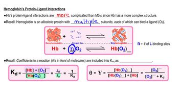 Myoglobin vs. Hemoglobin