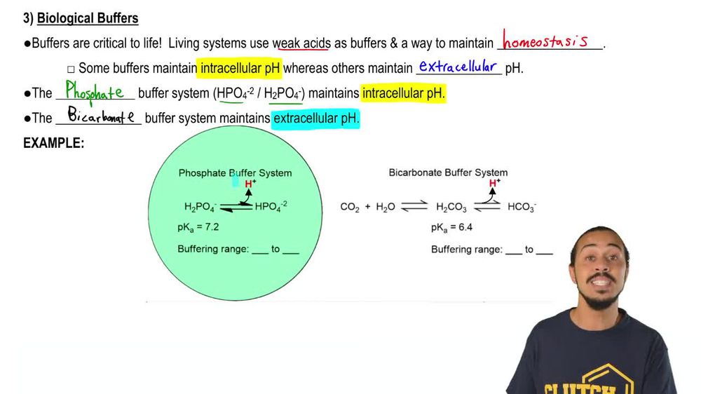 Buffer Solution Video Tutorial & Practice