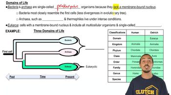 Domains of Life