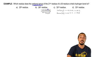 Alpha Helix Hydrogen Bonding Example