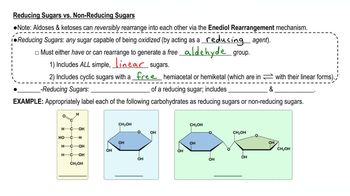 Which Of The Following Disaccharides Are Reducing Sugars? | Channels ...