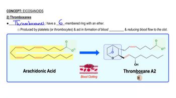 Eicosanoids