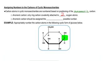 Cyclic Monosaccharides