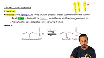 Types of Enzymes