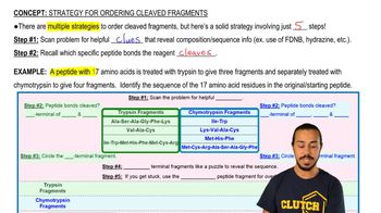 Strategy For Ordering Cleaved Fragments