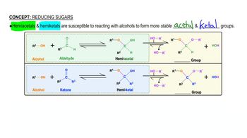 Reducing Sugars