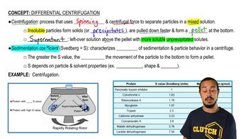 centrifugation diagram