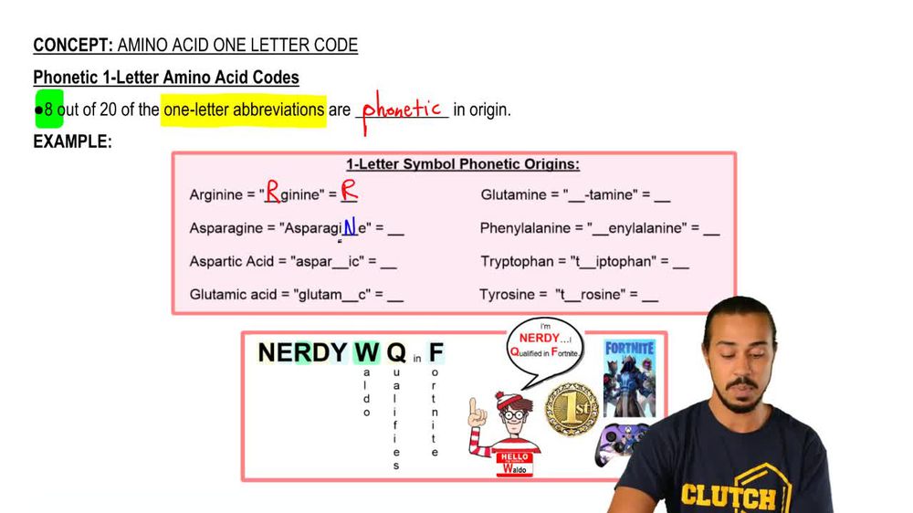 amino acid single letter abbreviations