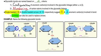 Glycosidic Bond Example 1