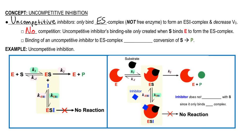 Enzyme Inhibitors