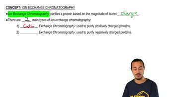 Ion-Exchange Chromatography