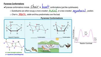 Pyranose Conformations