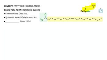 Fatty Acid Nomenclature