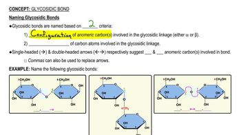 Glycosidic Bond