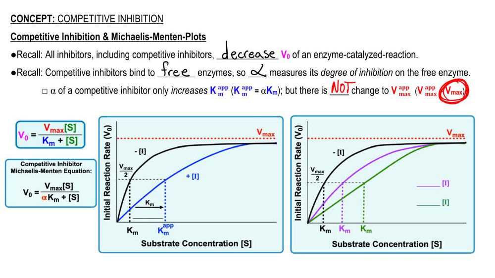 competitive inhibition lineweaver burk plot