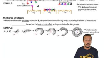 Biomolecule Polymer & Membrane Formation