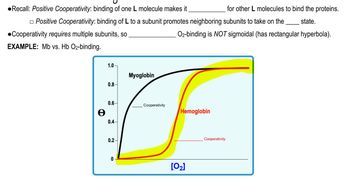 Heme Cooperativity