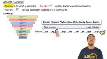 Biological Classification Categories